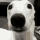 shiveringdogezgif
