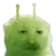 glorpO