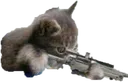 Snipe Snipe
