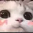 CatBlush