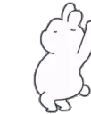 mochi_bunny_dance mochi_bunny_dance