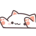 Bongo