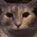 o_o