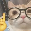 cat_nerd