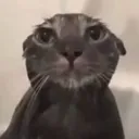 sad sad