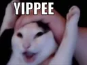 yippee