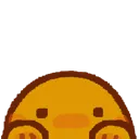 Peek_BUDG
