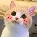 emoji_62 emoji_62
