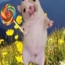 whimsy
