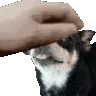 JoncoPatAngbee