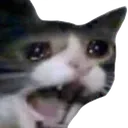cri
