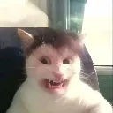 rur