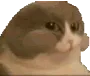 chewcat