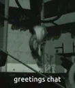 gladoswitharms