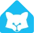 raccoonsita