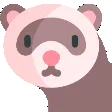 dealwithitferret dealwithitferret
