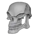 SC_sigma_skull