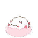 pink_catheartbounce