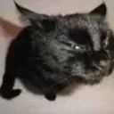excuseme
