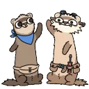 builderferrets