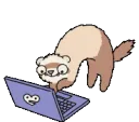 ferrettyping