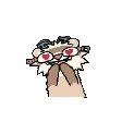 zoominbuilderferret zoominbuilderferret