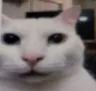 7bruh 7bruh