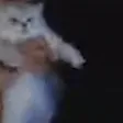 kayjiiYukiD