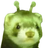 florp