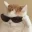 catcool