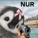 nur