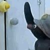 pingu_bell Discord emoji