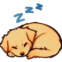 3r_puppysleeplabrador