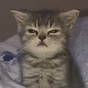 tired