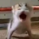 screm screm