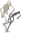 SkeletonPls
