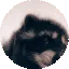 pedro