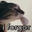 Car_forgor
