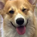 GooberWink