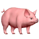oink
