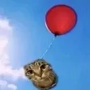 flyingkitty