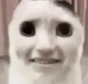 AMweirdcat AMweirdcat