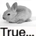 littlefunnybunnytrue