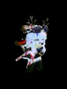 FloofDance