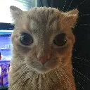 GleebsonTheIII