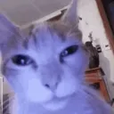 huh