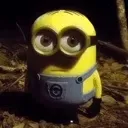 y_minionstare