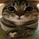 rfexpls