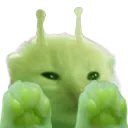 glorppaws glorppaws