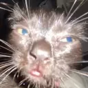gormless gormless